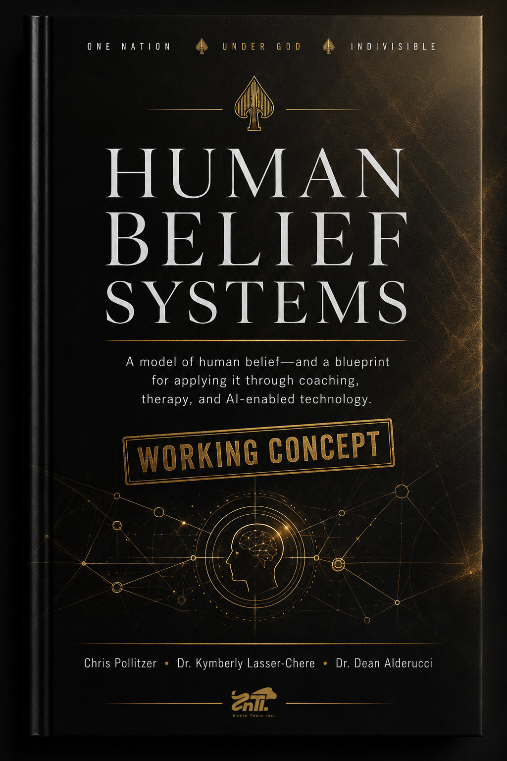 Working cover art for Human Belief Systems